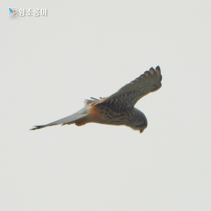 855d8a01cb1de37b942ff9e04cf788d7_1791426145_7409.png