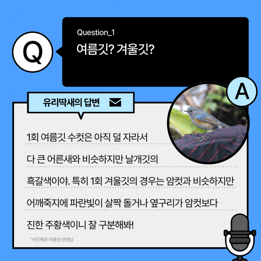 855d8a01cb1de37b942ff9e04cf788d7_1791431327_3005.png
