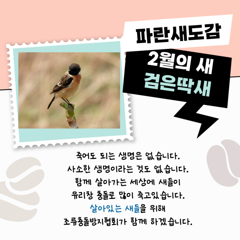 855d8a01cb1de37b942ff9e04cf788d7_1791431811_7408.png