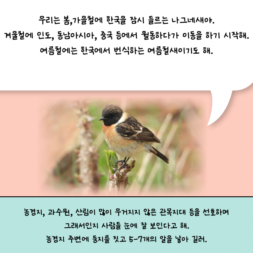 855d8a01cb1de37b942ff9e04cf788d7_1791431811_9981.png